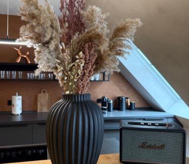 Erfurt Old Town Apartment | Loft Freigeist