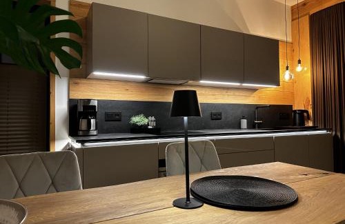 Strzeleczki Apartment | Loft N 39
