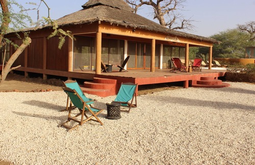 Saly Petite Cote Apartment | Loft Observatory of Birds