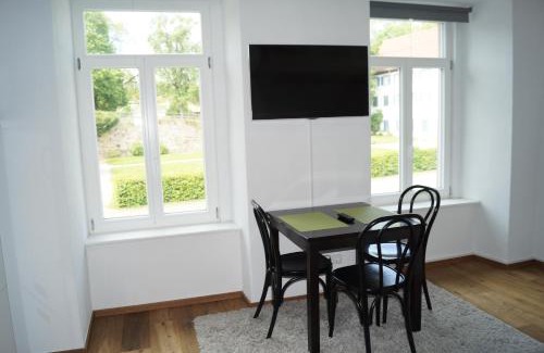 Villingen-Schwenningen Apartment | Loft Style Studio - historic old town