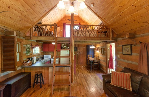 Hot Springs Cabin | Log Cabin with Private Outdoor Hot Tub