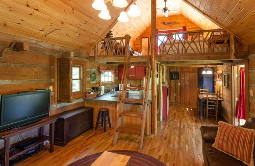 Hot Springs Cabin | Log Cabin with Private Outdoor Hot Tub