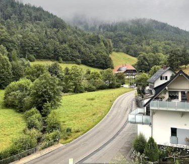 Hornberg Apartment | Logement avec vue panoramique
