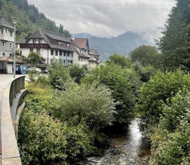 Hornberg Apartment | Logement avec vue panoramique