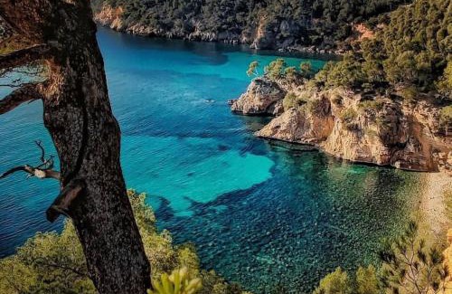Bandol Apartment | Logement vue mer splendide - situé à 50 mètres du bord de mer et 2 minutes des plages - Bandolina