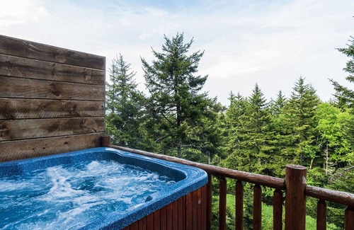 Snowshoe Condo | Loggers Run Lane by Casago