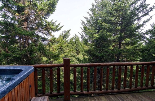 Snowshoe Condo | Loggers Run Lane by Casago