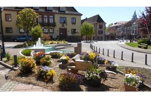 Niederbronn-les-Bains Apartment | Logis 1 des Bergers