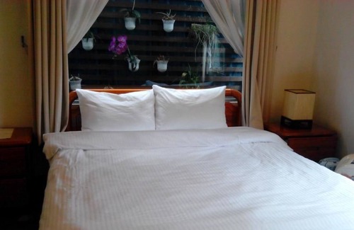 Shiding District House | Lohas Gallery Long Stay Hostel