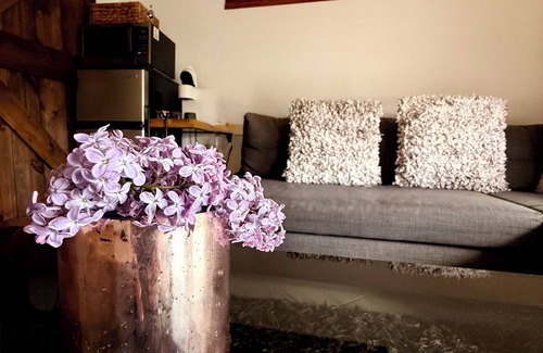 Longmont House | Longmont Getaway with Private Entrance
