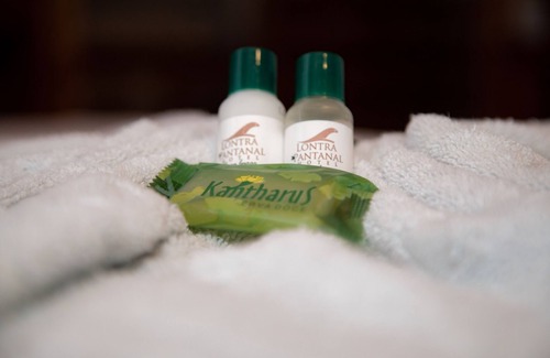 Nhecolandia Hotel | Lontra Pantanal Hotel