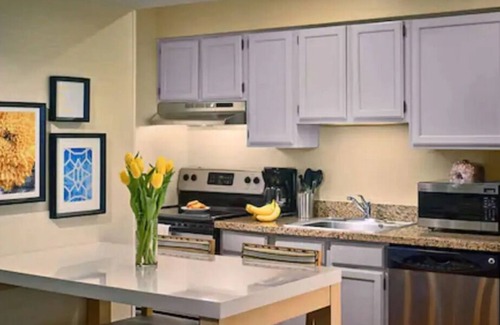 White Station Apartment | Look No More! w/ Parking, Pets Allowed Near Children's Museum of Memphis!