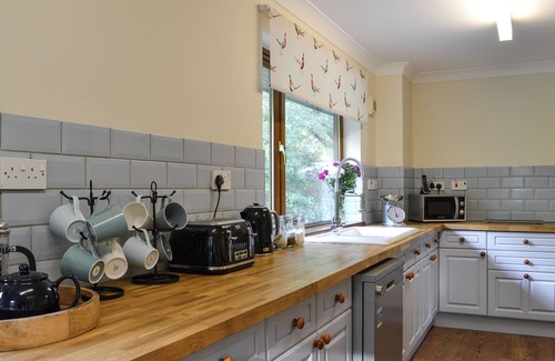 Salen Cottage | Look out over the sparkling loch and watch the abundant wildlife.