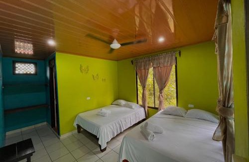 Tortuguero Hotel | Los Amigos Jungle Hotel Tortuguero