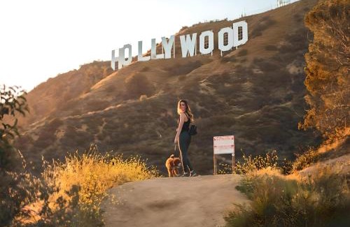Hollywood Apartment | Los Angeles Premium City Suites with Free Parking