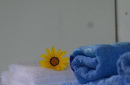Rocha Apartment | Los guayabos