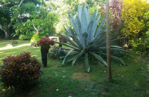 San Cristobal House | Los Palmares Guest House & Eventos