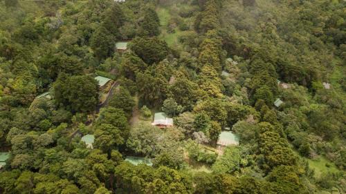 Monteverde Cabin | Los Pinos Cabins & Reserve