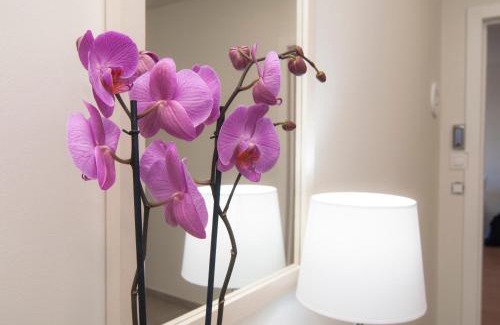 Tegueste Apartment | Los Rodeos Luxury Vivienda Vacacional