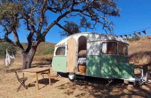Luzianes Other | Lost Paradise - Cosy Wagon