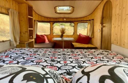 Luzianes Other | Lost Paradise - Cosy Wagon