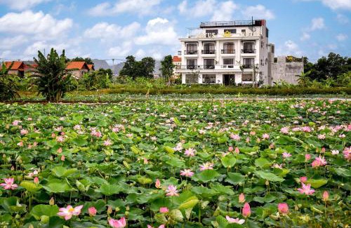 Hoa Lu Hotel | Lotus Hotel Ninh Bình