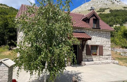 Donje Polje House | Lovcen Holiday Home