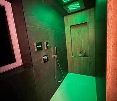 Bischoffsheim Apartment | Love industrie & spa - Suite Romantique en Alsace - Terrasse et garage