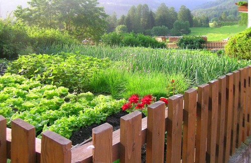 San Lorenzo di Sebato Ski Chalet | Love Nest Comfortable holiday residence