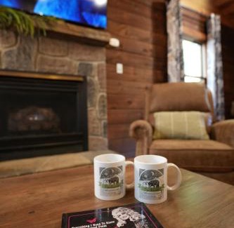 Sevierville Ski Chalet | Love Shack