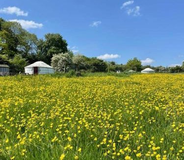 Farthinghoe Other | Love2Yurt