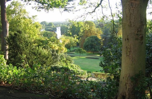 South Richmond Apartment | Lovely 2BR, Richmond Hill & Parking
