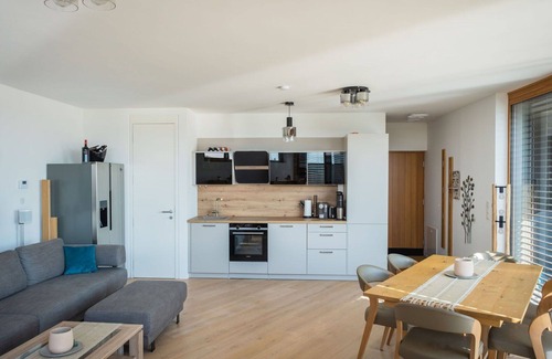 Neusiedl am See Apartment | Lovely apartment for 6 guests with hot tub, WIFI, A/C, TV, terrace and parking