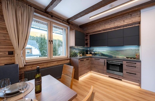 Dolni Morava Apartment | Lovely apartment for 6 guests with WIFI, TV and terrace
