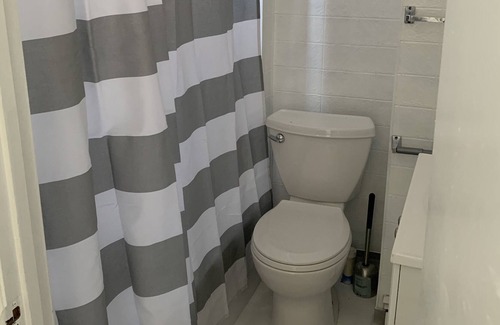 Inman Square Apartment | Lovely apartment in the heart of Inman sq Cambridge Ma