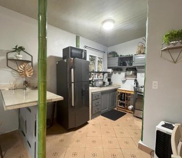 Brisas de Alto Boquete Apartment | Lovely Bamboo Garden