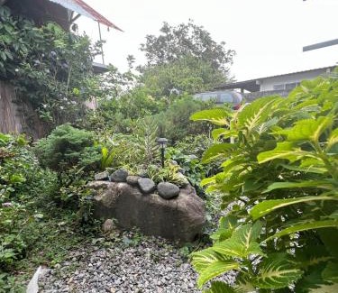 Brisas de Alto Boquete Apartment | Lovely Bamboo Garden