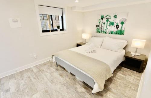 Near Northeast Apartment | Lovely English Basement Apartment in Washington DC