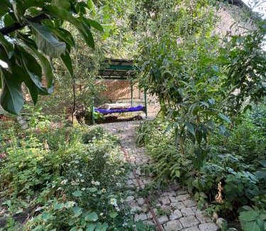 Osh Other | Lovely home shatry