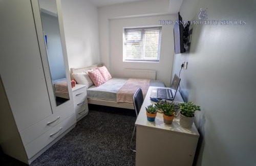 Selly Oak Apartment | Lovely homely studio available