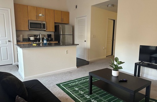 Rockville Apartment | lovely loft in the heart of town