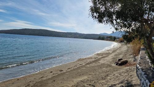 Karvelas Apartment | Lovely place in kamares 7