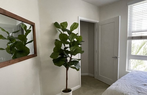 Laguna Niguel Apartment | Lovely private bedroom with shared bath(female only please)