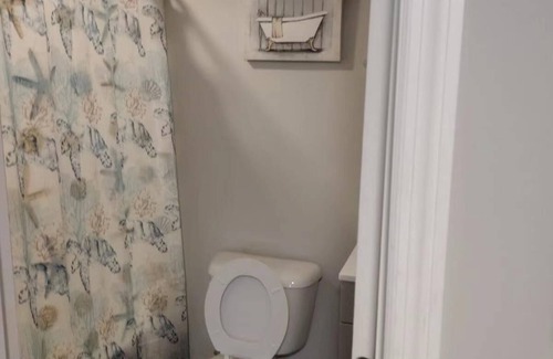 Goose Creek Apartment | lovely relaxing room with hight speed internet , neflix with a independent entry