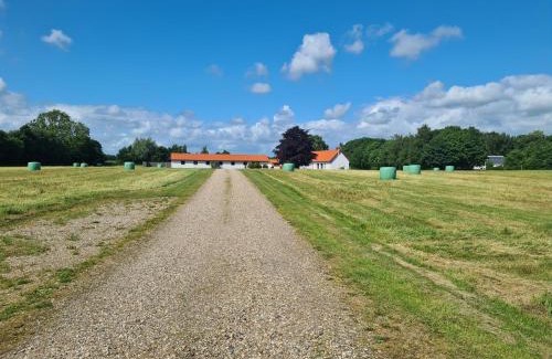Rask Mølle Apartment | Lovely room, easy access to E45 highway