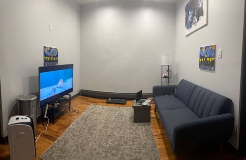 Crown Heights Apartment | Lovely Skylight 2 bedroom apartment