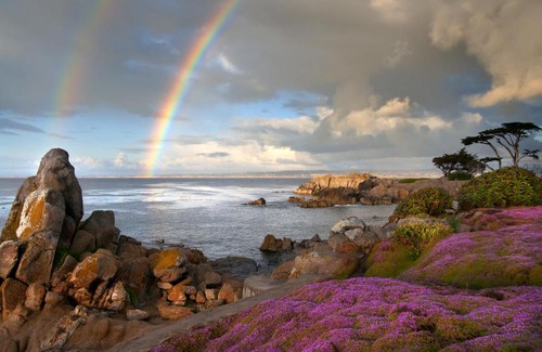 Pacific Grove Hotel | Lovers Point Inn