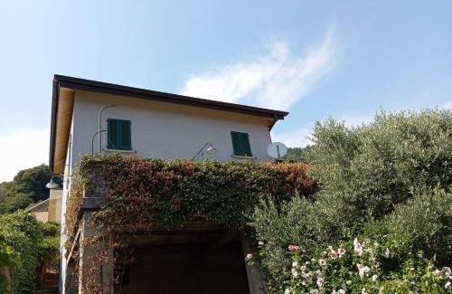 Maccagno con Pino e Veddasca House | Low-mountain house with terrace and garden, near Lake Maggiore