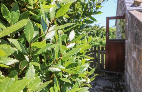 Penzance House | Lower Rissick Cottage