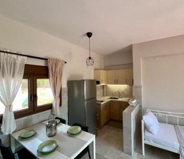 Psakoudia Apartment | Lucid Dream Apt. Bozinis 2